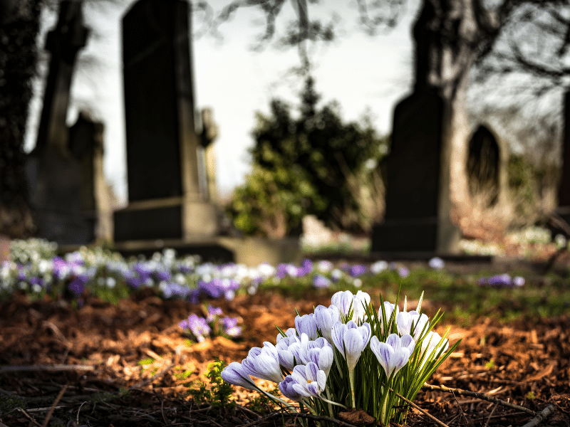 affordable headstone